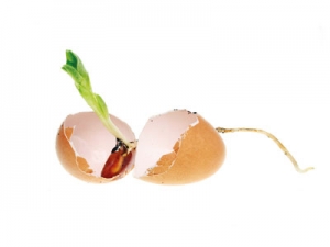 Ά&nu;&omicron;&iota;&xi;&eta;, &nu;έ&alpha; &gamma;&epsilon;&nu;&iota;ά &kappa;&alpha;&iota; &sigma;&tau;&rho;&alpha;&tau;&omicron;&lambda;ό&gamma;&eta;&sigma;&eta; &nu;έ&omega;&nu; &sigma;&upsilon;&nu;&epsilon;&rho;&gamma;&alpha;&tau;ώ&nu;!