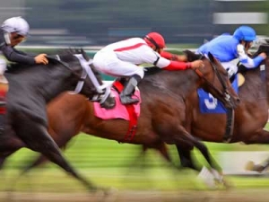 &Lambda;ύ&sigma;&tau;&epsilon; &tau;&alpha; ά&lambda;&omicron;&gamma;&alpha; &sigma;&alpha;&sigmaf; &nu;&alpha; &kappa;&alpha;&lambda;&pi;ά&sigma;&omicron;&upsilon;&nu;....